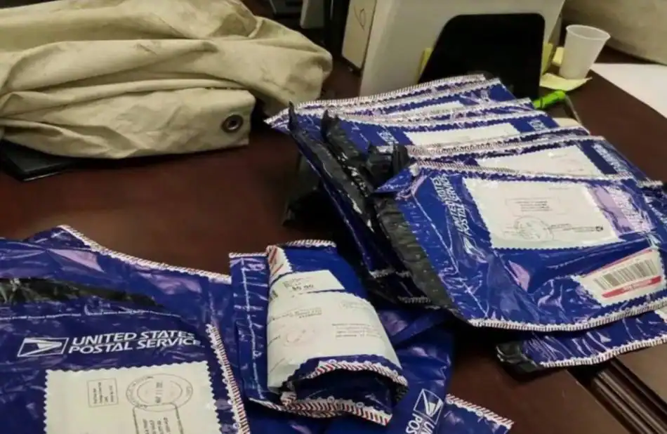 Família encontra sacos com um milhão de dólares na estrada